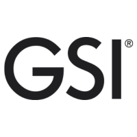 gsi logo brand